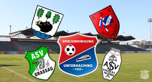 Hachings Partnervereine